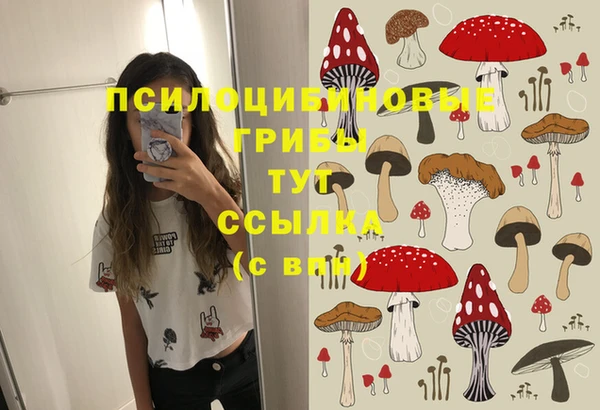 МДПВ Алексин