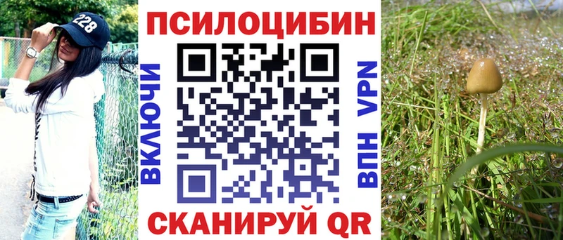 где найти   Мещовск  Галлюциногенные грибы ЛСД 